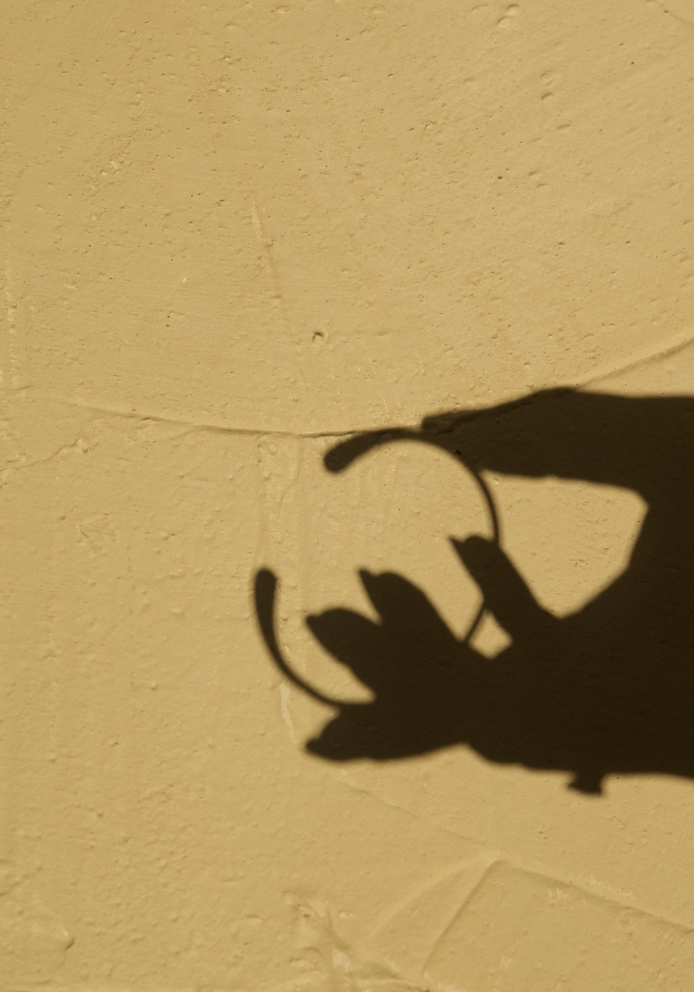 Minimal Bracelet casting a soft shadow